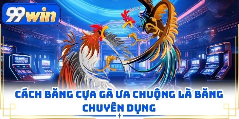 Cách băng cựa gà ưa chuộng là băng chuyên dụng